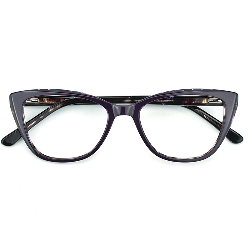 PH2221 Ready Good Fashion Cat Eye Brand Optical Frames Eyeglasses Acetate Glasses