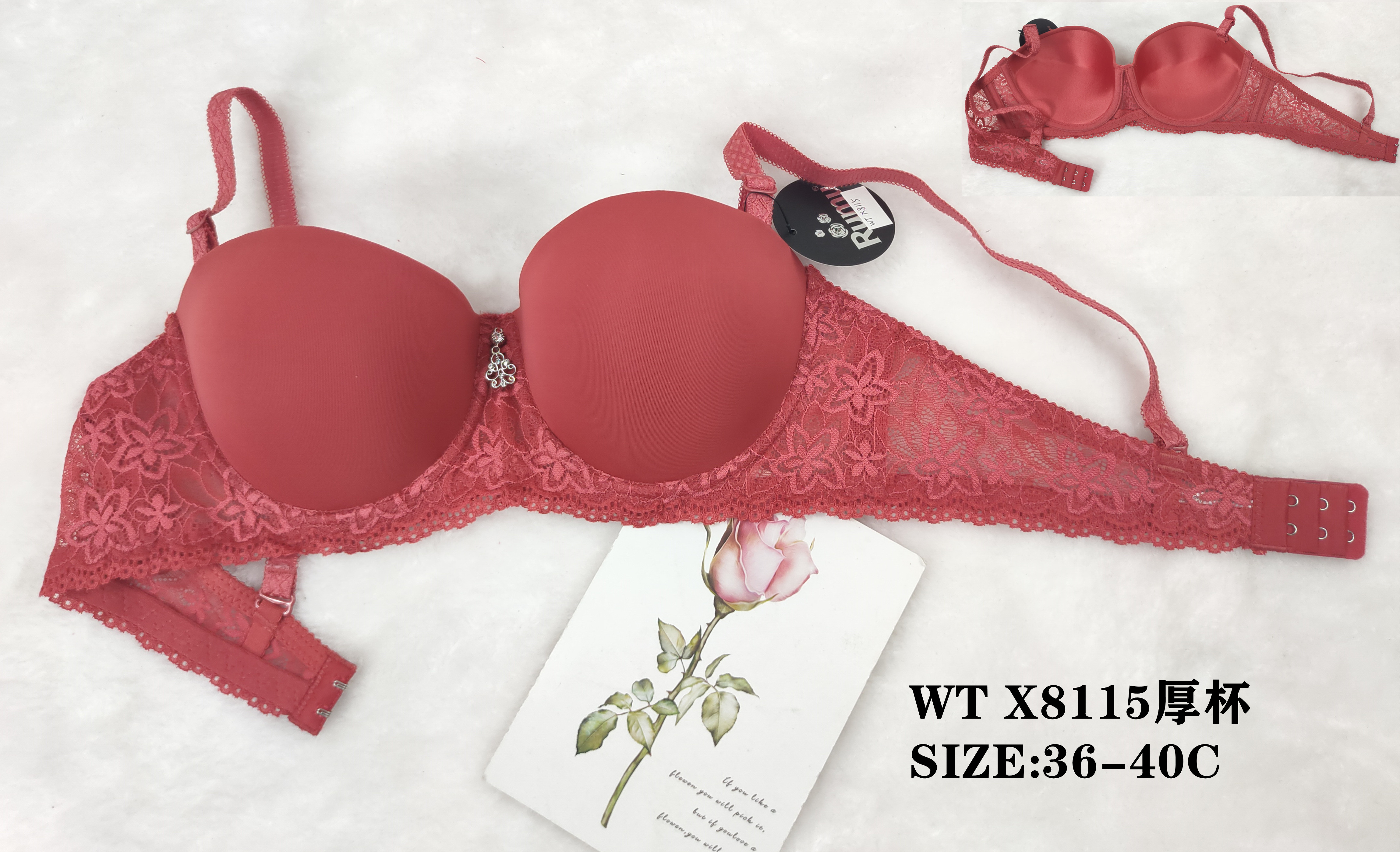 WTX8115厚杯,bra