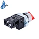 push button switch with pilot indicator