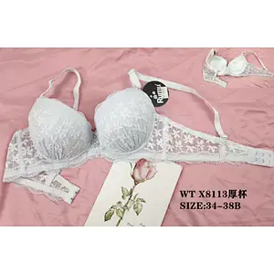 WTX8113厚杯,bra