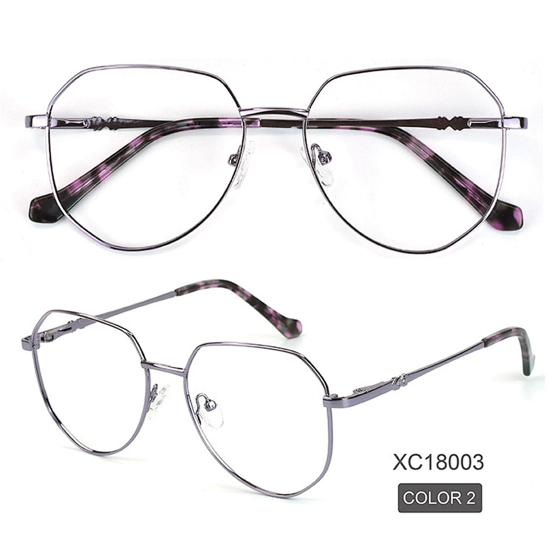 2021 Latest Quality China Wholesale Optical Frame Extra Big Frame Metal Eyeglasses for fashion people