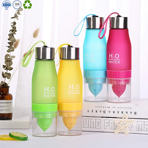 Outdoor fruit infuser water bottle