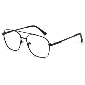 Double bridge big frame eyeglasses men retro gold temple oversized optical glasses