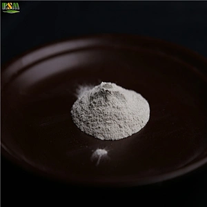 Ferrous Sulphate Monohydrate