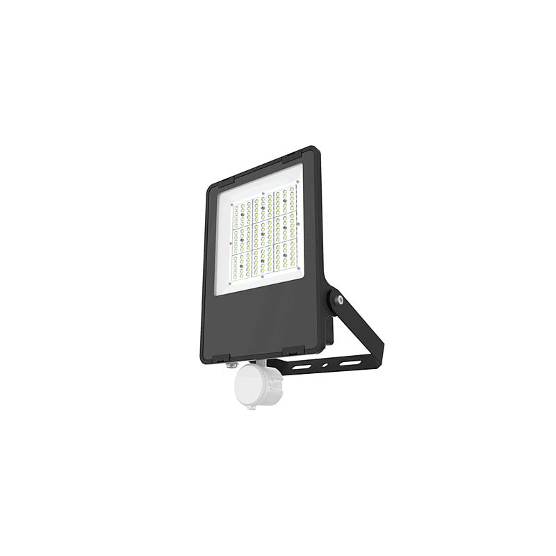 Outdoor Flood Lights