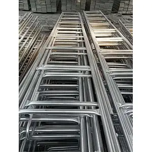 Scaffolding Monkey Ladder