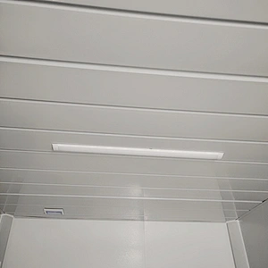 Prefabricated Mobile Modular Expandable Container Home/Prefab Home Modern 20FT container house