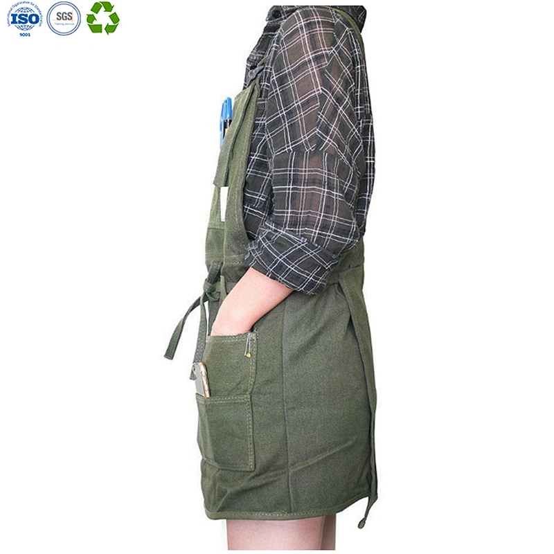 Multifunctional apron