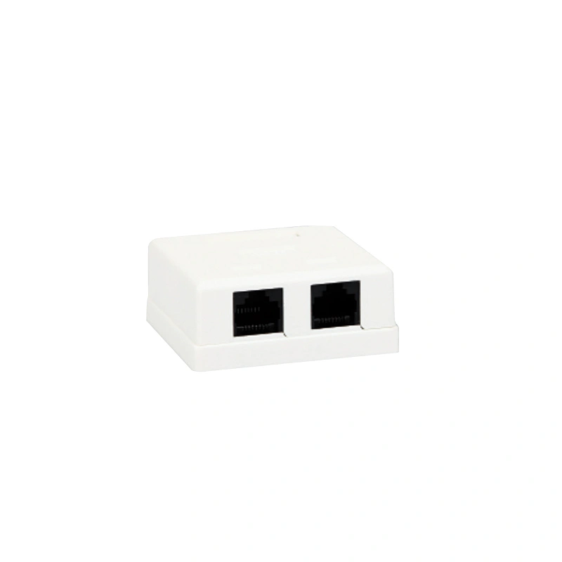 CAT6 Dual Port (Unshielded)
