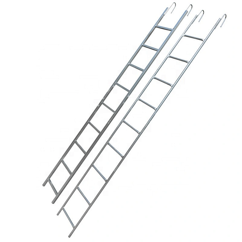 Scaffolding Monkey Ladder