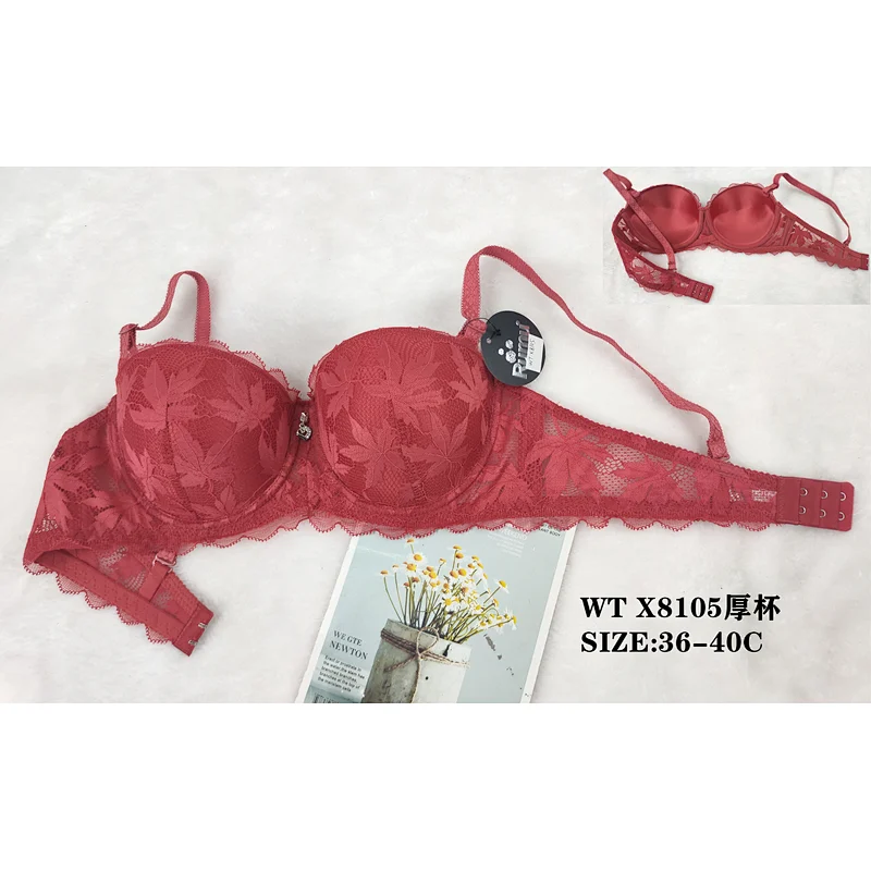 WTX8105厚杯,bra