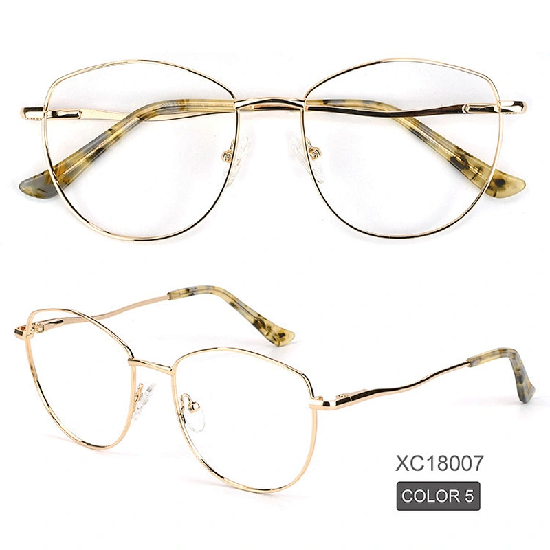 Avant-garde men metal optical frame big size bold color eyewear
