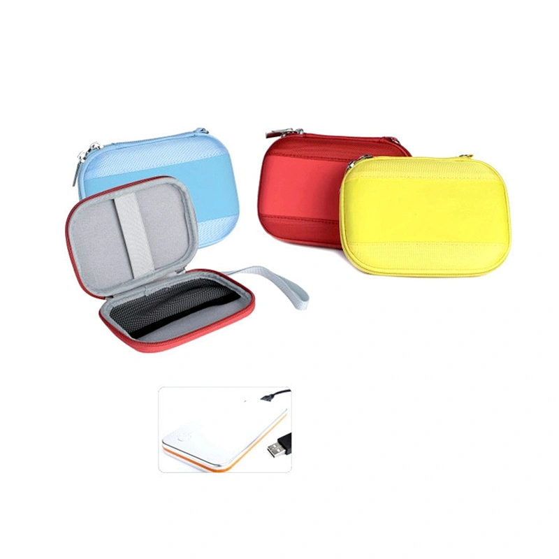 Hard Disk Driver EVA Case