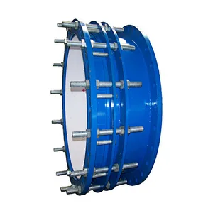 Carbon Steel Dismantling Joint