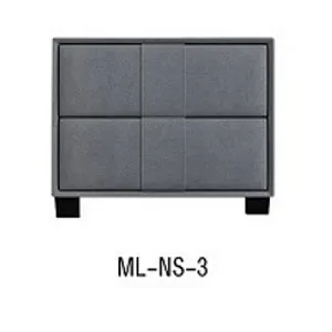 ML-NS-3