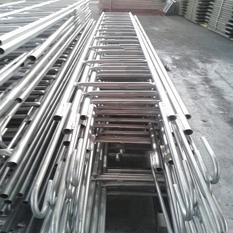 Scaffolding Monkey Ladder