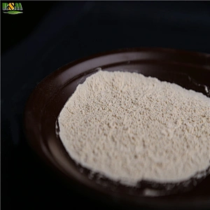 Magnesium Sulphate Kieserite