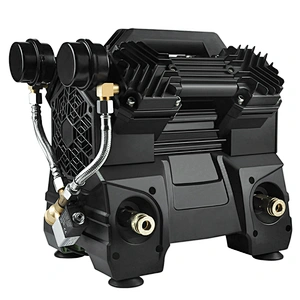 Spray Paint Series Series Paint Permanent Magnet Brushless Synchronous Motor Compressor Machine - AC990