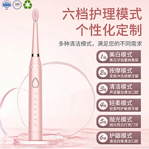 3 in 1 Electric Toothbrush