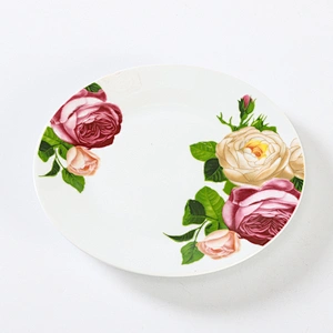 DINNER PLATE /SOUP PLATE