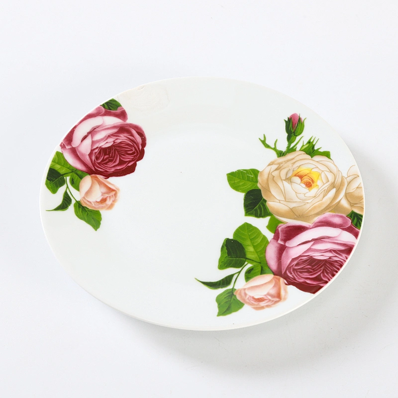 DINNER PLATE /SOUP PLATE
