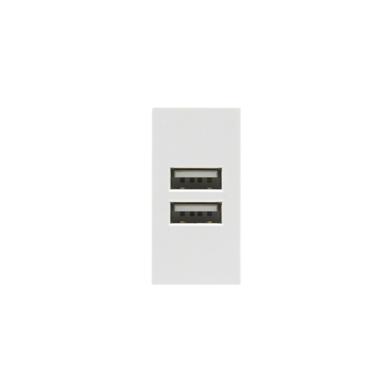 Sinoamigo F21-C2A USB Charger