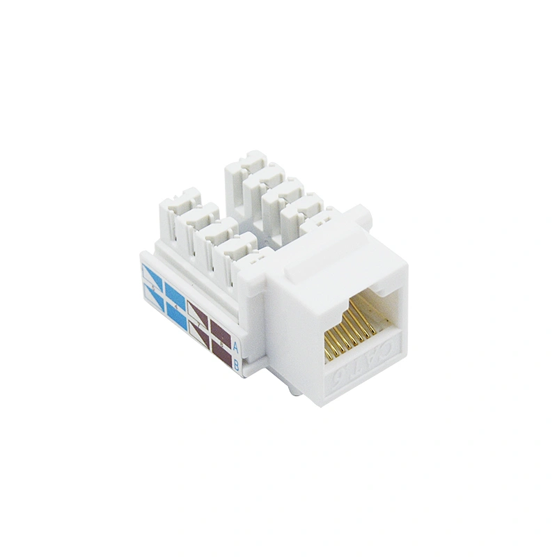 CAT6