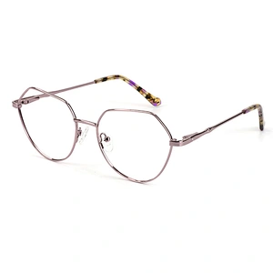 Brand design ready goods new model eyewear optical metal frame glasses frame