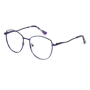 Avant-garde men metal optical frame big size bold color eyewear