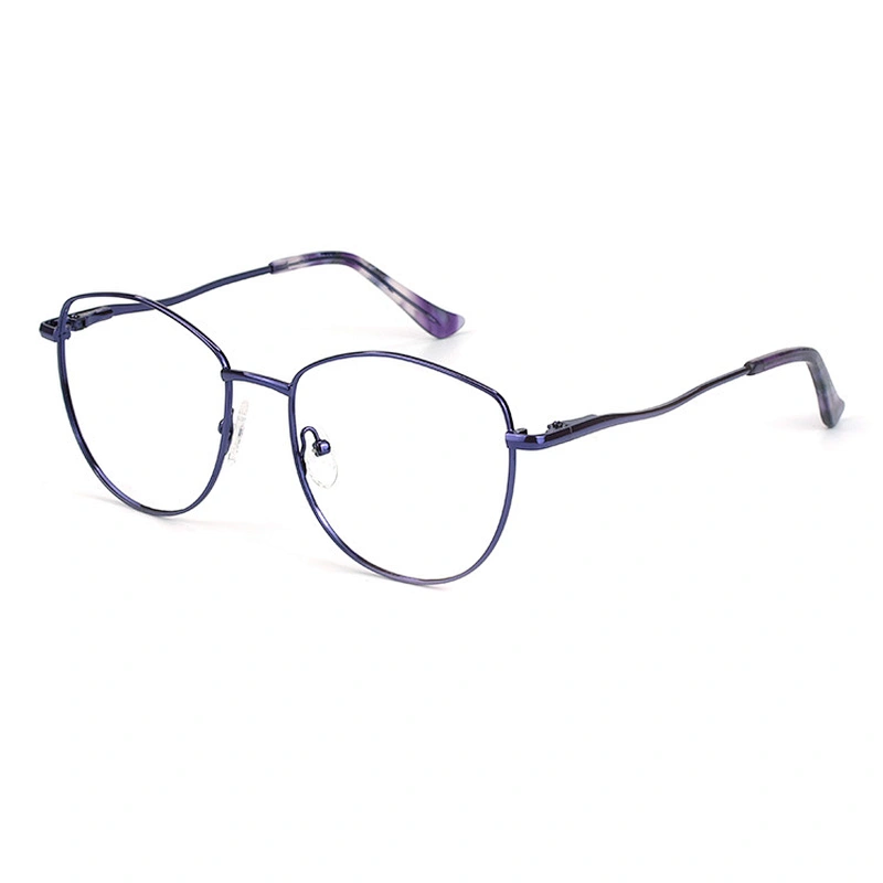 Avant-garde men metal optical frame big size bold color eyewear