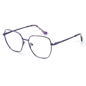 5 color fashionable metal big size optical frame newest design geometry eyewear frame