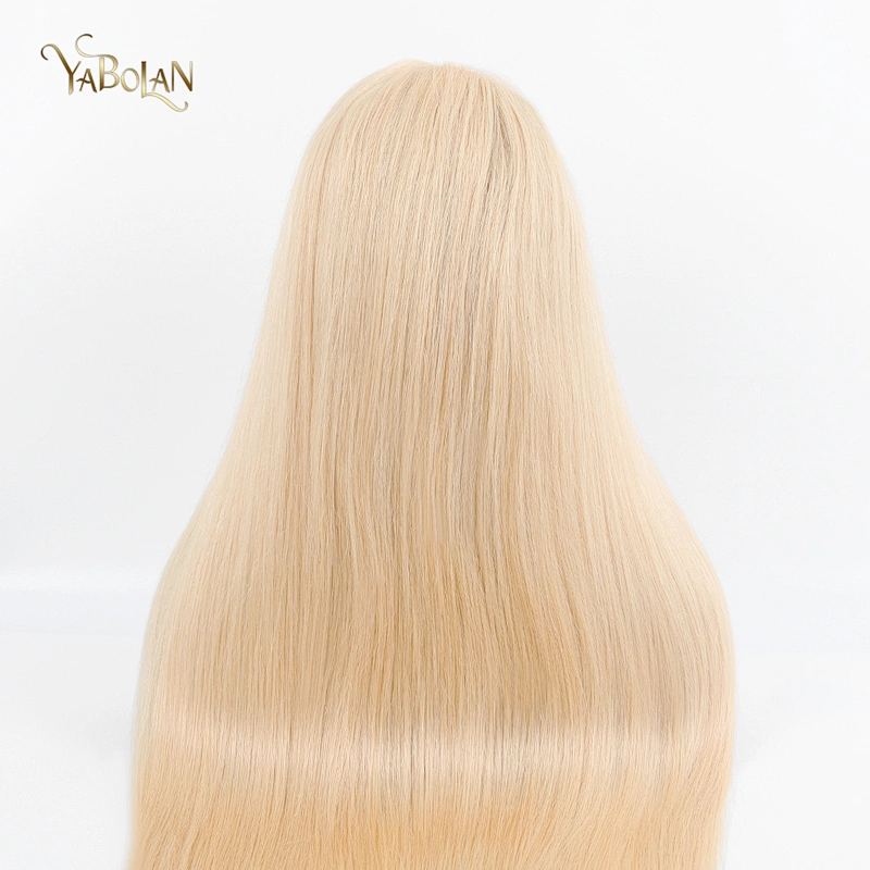 #613 Full Lace Wig Straight