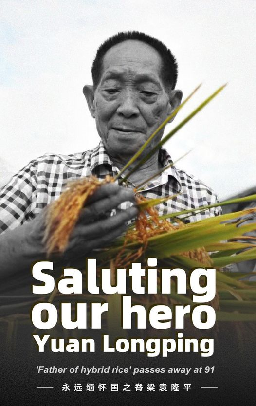 Saluting our hero, Yuan Longping!