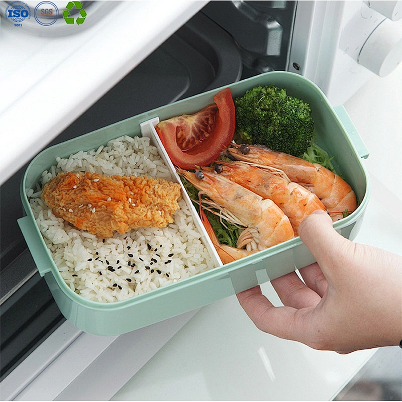 Proof Bento Lunch Box