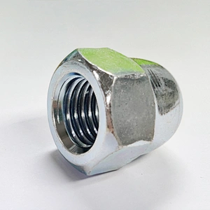 DIN1587 Hexagon domed cap nuts, high type
