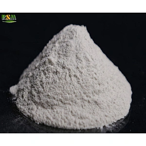 Ferrous Sulphate Monohydrate