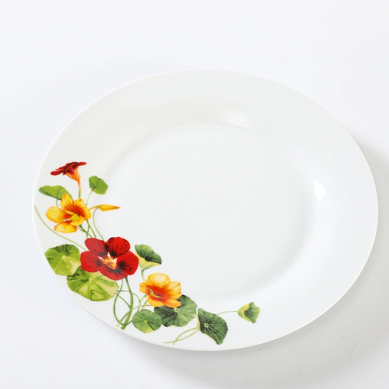 DINNER PLATE /SOUP PLATE