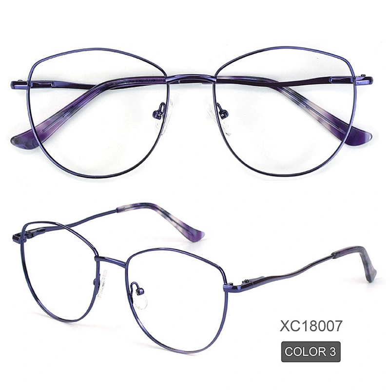 Avant-garde men metal optical frame big size bold color eyewear