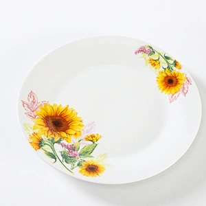 DINNER PLATE /SOUP PLATE