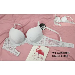 WTX7998厚杯,bra