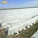 pp spunbond agriculture non woven fabric