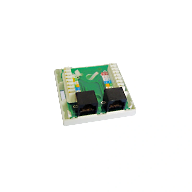 CAT6 Dual Port (Unshielded)