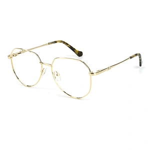 2021 Latest Quality China Wholesale Optical Frame Extra Big Frame Metal Eyeglasses for fashion people