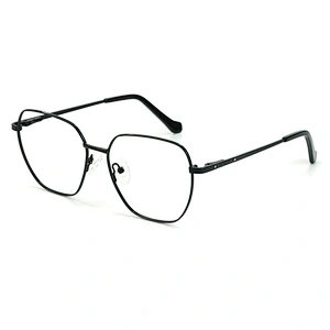 5 color fashionable metal big size optical frame newest design geometry eyewear frame
