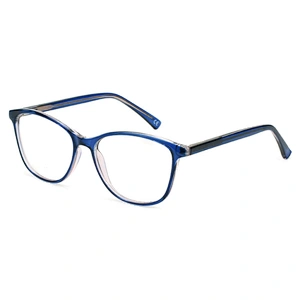 2021 New Design CP teenager Spectacle Frames Student Optical Eyeglasses