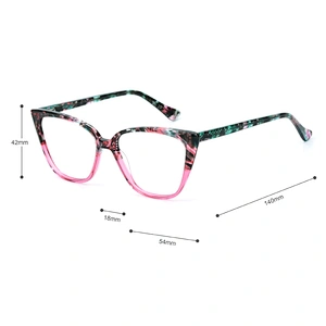 PH2218 Wholesale Custom Trend Optical Frame Eyeglasses River Acetate Cat Eye Glasses