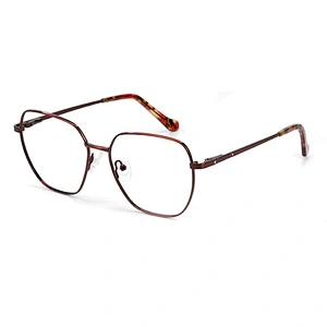 5 color fashionable metal big size optical frame newest design geometry eyewear frame