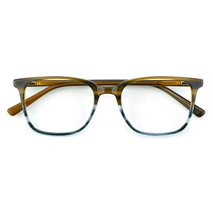PH2202 New model Color matching optical frame magnet clip glasses wenzhou produce eyeglasses