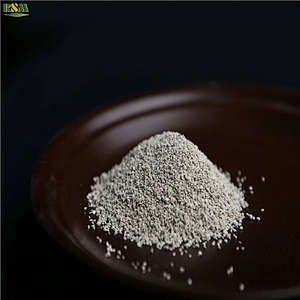 Ferrous Sulphate Monohydrate