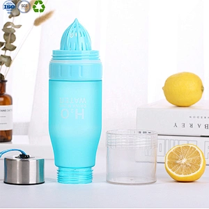 Outdoor fruit infuser water bottle